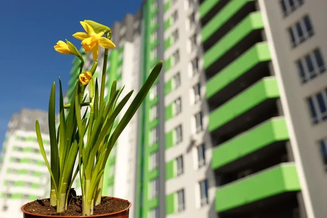 Графік роботи підрозділів Будівельної групи Синергія на 8 Березня