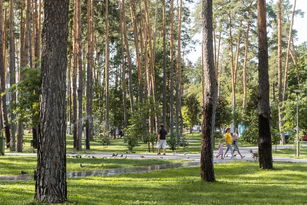 Центральний парк