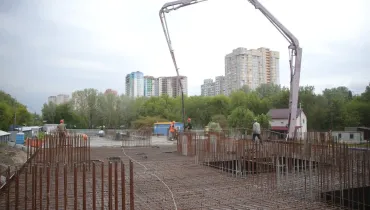 ск (31)