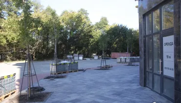 СС (31)