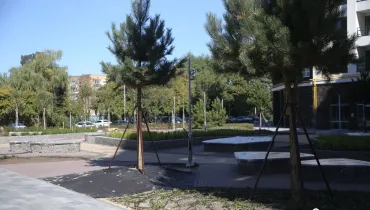 СС (39)