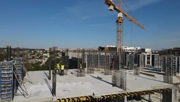 СС (56)