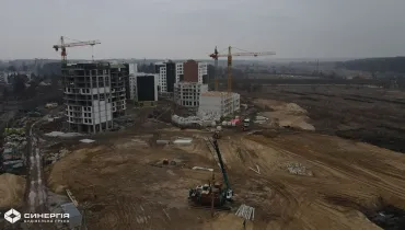 сс (45)