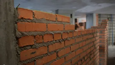 сс (43)