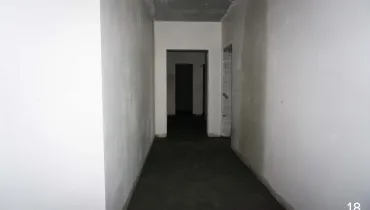 DSC03960