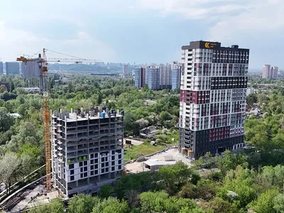 Чому варто обрати житло біля лісу: секрети довгого та якісного життя