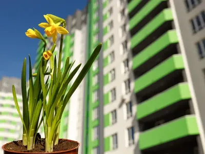 Графік роботи підрозділів Будівельної групи Синергія на 8 Березня