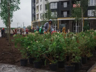 Продовжуємо ландшафтні роботи в сквері ЖК Синергія Сіті: тут висаджуємо нові дерева та кущі