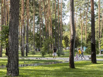 Центральний парк