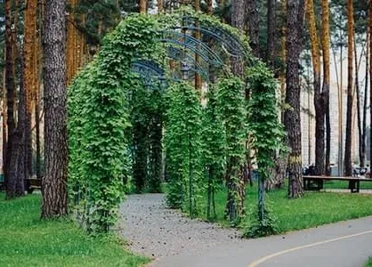 Центральний парк