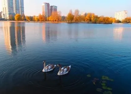 Озеро Тельбін
