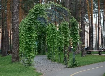 Центральний парк